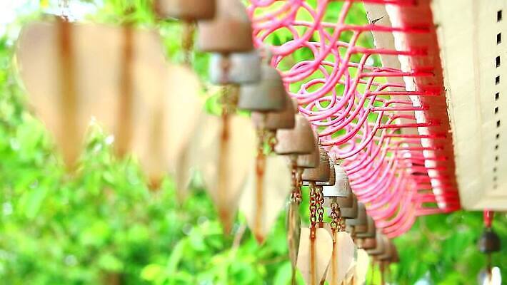 나무 전통 디자인 계절 문화 여행 백그라운드 컨셉 패턴 건축양식 태국 자연 매달리기 미술 동양인 풍경 사람없음 야외 장식 초록색 빛 컬러풀 노란색 금속 검은색 수확 골동품 종 흰색 역사 황금 큼 심볼 청동 노크 놋쇠 방법 옛날 스타일 MP4 해외동영상 클립영상 식물 건축 아시아 컬러 무늬 농업 모션 재질 문화예술 인종 크기 생태계 동영상 파일형식