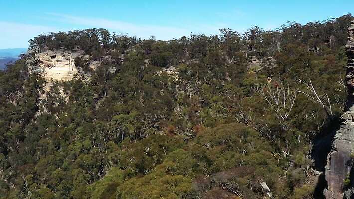 나무 여행 자연 하늘 산 안테나 풍경 사람없음 야외 초록색 파란색 갈색 환경 계곡 절벽 호주 숲 땅 언덕 암초 동영상 드론 4K MP4 해외동영상 클립영상 식물 컬러 통신 오세아니아 생태계 파일형식