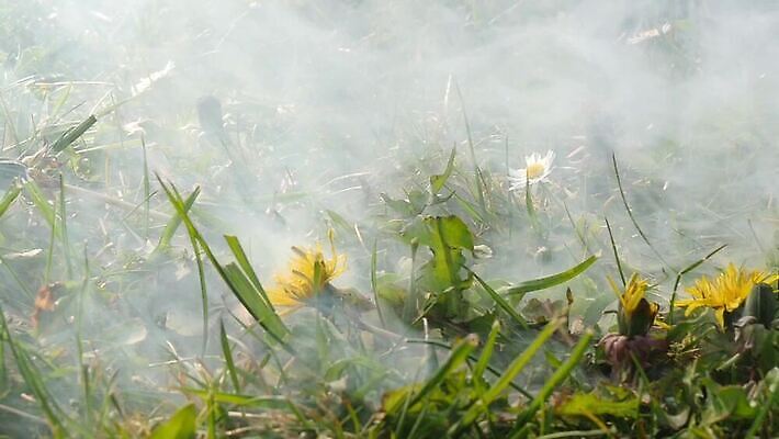 무기 백그라운드 사람없음 쌓기 금속 기계 총 껍질 그룹 목표 위험 발사 폭발물 군용 전쟁 사냥 슛 육군 흙더미 총알 놋쇠 엽총 옛날 많음 비어있는 MOV 해외동영상 슬로모션 클립영상 컨셉 모션 재질 군대 촬영기법 흙 동영상 파일형식 더미