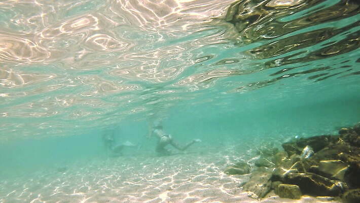 동물 야생동물 바다 컬러 여행 백그라운드 자연 멕시코 어류 사람없음 빨간색 물 여름 파란색 빛 햇빛 태양 뷰티 수중 수영 광선 동굴 산호 아래 사진사 생태계 다이빙 장면 암초 깊이 칸쿤 4K 수중영상 MOV 해외동영상 클립영상 자연요소 계절 북아메리카 수중동물 수상스포츠 자포동물 방향 작가 위치 동영상 수중스포츠 파일형식