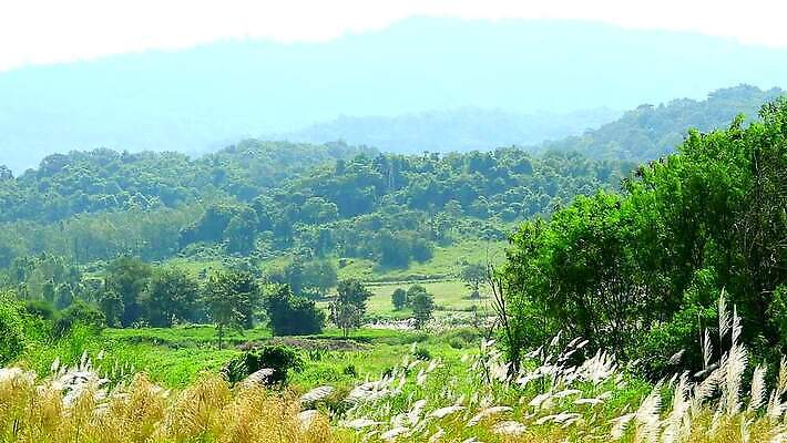 식물 계절 공원 꽃 백그라운드 잎 겨울 밭 자연 하늘 바람 산 씨앗 사람없음 야외 초록색 파란색 농장 갈색 환경 정원 벚꽃 흰색 나뭇가지 시골 신선 잡초 숲 언덕 그네 내추럴 사탕수수 MP4 해외동영상 클립영상 자연요소 나무 공공시설 컬러 농업 날씨 생태계 동영상 파일형식