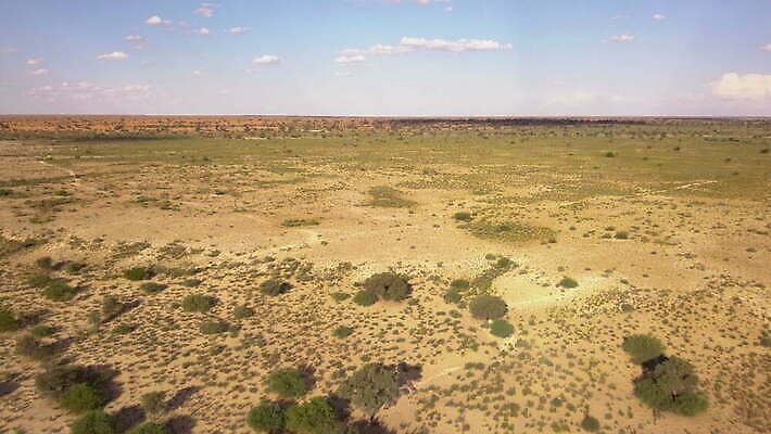 나무 모래 아프리카 건조 안테나 사람없음 사막 가뭄 항공촬영 드론 사바나 칼라하리 4K MOV 해외동영상 클립영상 식물 나라 뷰포인트 통신 날씨 동영상 파일형식