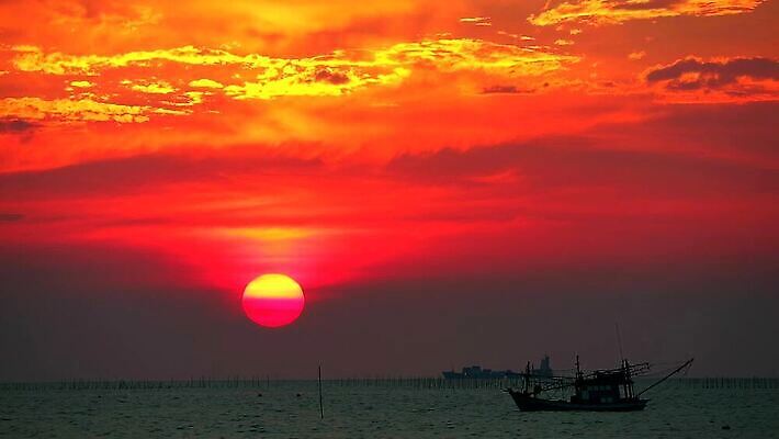 공원 실루엣 바다 여행 백그라운드 오렌지 비즈니스 교통시설 모션 태국 자연 조류 하늘 낚시 항해 해변 사람없음 야외 빨간색 물 파란색 빛 컬러풀 태양 일출 일몰 새벽 화물 시간 보트 야간 저녁 낚시꾼 포트 유조선 수평선 타임랩스 MP4 해외동영상 클립영상 자연요소 동물 공공시설 아시아 컬러 교통 배_교통 과일 레저 촬영기법 노을 운송업 시설 생태계 동영상 파일형식