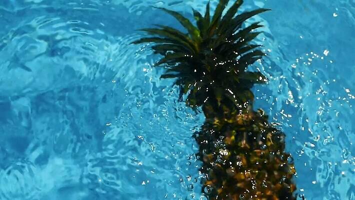 계절 물결 음식 파도 컬러 백그라운드 컨셉 다이어트 과일 자연 휴가 건강 사람없음 야외 물 여름 파란색 빛 노란색 수영 거품 신선 액체 달콤 맛 떨어짐 당구 파인애플 상쾌 질감 향기 내추럴 숙성 이국적 채식주의자 터키석 스플래쉬 디톡스 비건 MOV 해외동영상 클립영상 자연요소 감정 바다 구기 수상스포츠 보석 열대과일 생태계 채식 냄새 동영상 파일형식