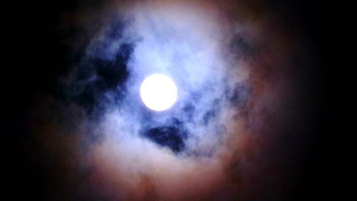 구름 꽃 실루엣 분홍색 과학 백그라운드 밭 자연 하늘 건조 초원 사람없음 빨간색 빛 장미 우주 어둠 침묵 새벽 할로윈 추위 수확 달 나뭇가지 시골 시간 혈액 야간 저녁 숲 가득함 부드러움 흙더미 비버 현상 호러 타임랩스 MP4 해외동영상 클립영상 자연요소 나무 식물 컬러 농업 촬영기법 소리 흙 감각 생태계 공포 동영상 파일형식 더미