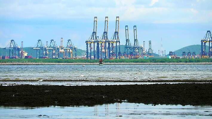 구름 라이프스타일 산업 파도 바다 여행 자연 갈매기 조류 하늘 낚시 항해 풍경 사람없음 야외 물 파란색 뷰티 마을 항구 일몰 화물 도시 보트 컨테이너 기중기 함선 해안도시 낚시꾼 포트 타운 스카이라인 로딩 옛날 많음 MP4 해외동영상 클립영상 자연요소 동물 컬러 컨셉 배_교통 교통시설 레저 생활 노을 운송업 중장비 생태계 동영상 파일형식