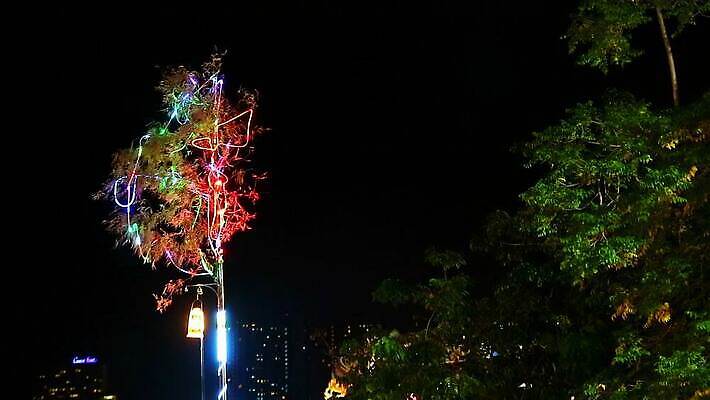 나무 전통 아시아 종교 문화 여행 무지개 선물 미술 사람없음 야외 장식 빛 평화 축제 희망 기도 램프 관찰 사찰 막대기 축복 야간 대나무 명상 오브젝트 봉 희생 일시정지 용서 순례 숭배 신앙심 자선 채식주의자 칭찬 특별함 힌두교 MP4 해외동영상 클립영상 자연요소 식물 감정 나라 컨셉 종교건축 모션 문화예술 조명 봉사 채식 동영상 파일형식