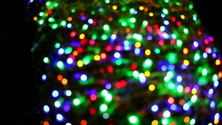 나무 식물 디자인 공원 기념일 행복 컬러 결혼 백그라운드 무지개 패턴 비즈니스 추상 휴가 전등 거리 매달리기 미술 사람없음 야외 내부 장식 초록색 빛 쇼핑 파티 유행 상점 정원 축제 어둠 수확 흰색 축하 도시 원형 야간 저녁 소프트포커스 질감 복고 보케 블러 MP4 해외동영상 클립영상 자연요소 도형 공공시설 감정 컨셉 무늬 농업 모션 문화예술 조명 촬영기법 이벤트 동영상 파일형식