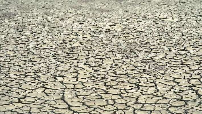 나무 식물 계절 지구 백그라운드 패턴 자연 표면 날씨 건조 풍경 사람없음 야외 물 여름 글로벌 갈색 일출 환경 흙 사막 죽음 뜨거움 거친 오염 변화 균열 위험 땅 질감 먼지 점토 지역 충격 진흙 가뭄 지구온난화 내추럴 그런지 땅바닥 위기 재앙 비어있는 MP4 해외동영상 클립영상 자연요소 컬러 컨셉 무늬 모션 바닥 노을 생태계 동영상 기후변화 파일형식