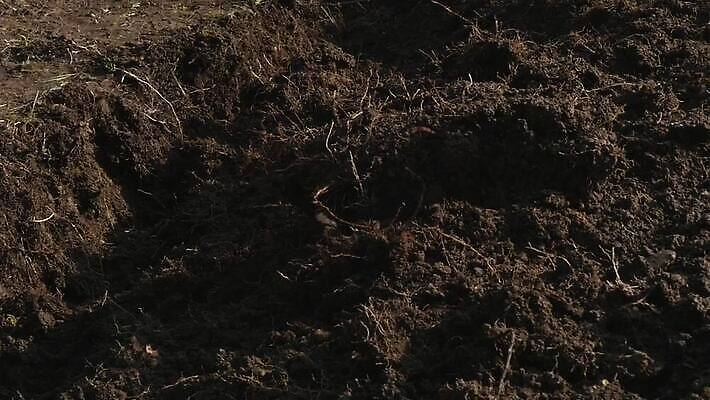 식물 1 밭 농업 채소 자연 노동자 사람 취미 사람없음 야외 농장 정원 흙 봄 장비 성장 공구 시골 업무 농부 삽 준비 원예 먼지 내추럴 땅바닥 땅파기 밭일 양발 원예사 조작 파종 MOV 해외동영상 클립영상 직업 계절 산업 바닥 농사 도구 작업 생태계 동영상 파일형식