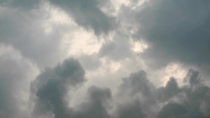 나무 식물 외관 실루엣 백그라운드 겨울 건축양식 자연 하늘 지붕 바람 날씨 주택 안테나 사람없음 야외 건물 빛 우주 검은색 텔레비전 어둠 힘 젖음 덮개 재산 정상 위험 타일 폭풍 흐림 나쁜 뇌우 전후 MP4 해외동영상 클립영상 자연요소 건축물 계절 건축 컬러 컨셉 통신 촬영기법 금융 전자제품 뚜껑 비교 생태계 동영상 파일형식