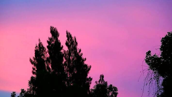 나무 식물 공원 실루엣 컬러 여행 백그라운드 잎 모션 자연 하늘 아침 바람 산 파노라마 풍경 사람없음 야외 초록색 여름 파란색 빛 노란색 일출 계곡 침묵 황혼 일몰 새벽 안개 소나무 정상 저녁 숲 신비 장면 뿌연 콜로라도 MP4 해외동영상 클립영상 주간 자연요소 계절 공공시설 컨셉 날씨 촬영기법 노을 미국 소리 야간 생태계 동영상 파일형식