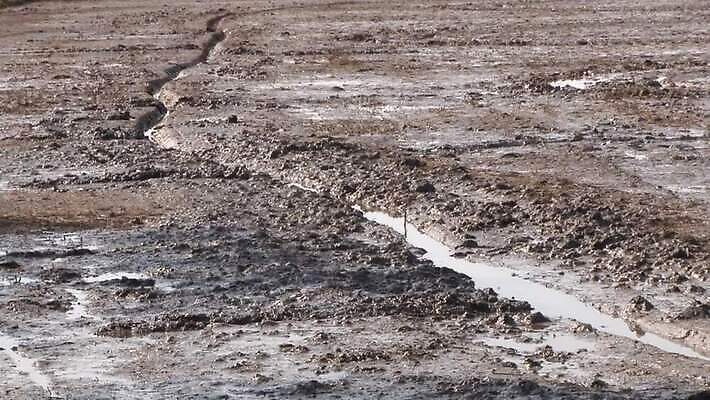 계절 지구 백그라운드 농업 태국 자연 풍경 사람없음 야외 물 농장 농경지 갈색 환경 흙 줄무늬 젖음 시골 땅 진흙 내추럴 논밭 땅바닥 밭일 MOV 해외동영상 클립영상 자연요소 산업 아시아 컬러 무늬 밭 바닥 논 생태계 동영상 파일형식
