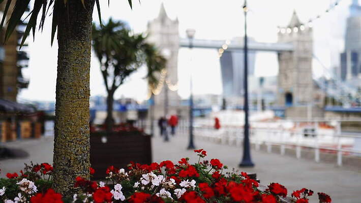 주간 나무 구름 꽃 유럽 상징 여행 건축양식 자연 하늘 아침 영국 잉글랜드 파노라마 풍경 사람없음 건물 물 빛 강 도시풍경 햇빛 고층빌딩 도시 역사 심볼 런던 스카이라인 동영상 천연기념물 랜드마크 수도권 왕국 템스강 4K MOV 해외동영상 클립영상 자연요소 식물 건축물 건축 나라 촬영기법 빌딩 태양 생태계 지역 파일형식
