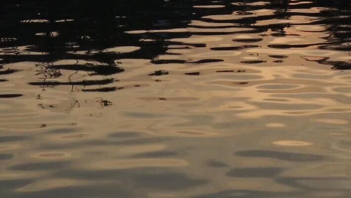 계절 물결 파도 백그라운드 패턴 자연 벽지 조류 표면 날씨 풍경 사람없음 야외 물 강 평화 환경 검은색 침묵 회색 젖음 시골 연못 액체 생태계 질감 운하 장면 내추럴 배수구 MOV 해외동영상 클립영상 자연요소 동물 바다 컬러 컨셉 무늬 소리 동영상 파일형식