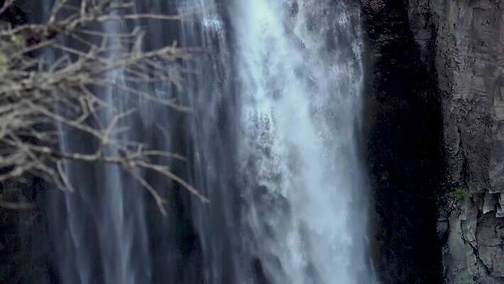 나무 자연 산 사람없음 야외 물 강 골짜기 폭포 흐름 신선 개울 숲 삼림지대 워싱턴 전국 지질학 로키산맥 4K MP4 해외동영상 클립영상 자연요소 식물 교육 컨셉 미국 생태계 동영상 파일형식