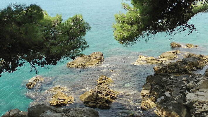 나무 유럽 바다 컬러 여행 요트 휴가 산 파노라마 사람없음 야외 초록색 물 컬러풀 뷰티 만 지중해 크로아티아 두브로브니크 옛날 터키석 MOV 해외동영상 클립영상 자연요소 식물 나라 배_교통 촬영기법 보석 동영상 파일형식