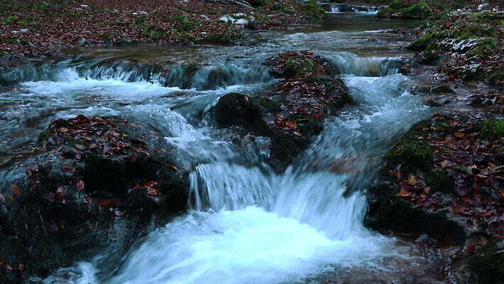 나무 공원 유럽 여행 백그라운드 자연 산 사람없음 야외 목재 가로 초록색 물 강 햇빛 환경 골짜기 계곡 침묵 봄 폭포 흐름 신선 개울 재산 숲 지역 내추럴 몬테네그로 전국 4K MOV 해외동영상 클립영상 자연요소 식물 계절 공공시설 나라 컬러 컨셉 재료 금융 태양 소리 생태계 동영상 파일형식