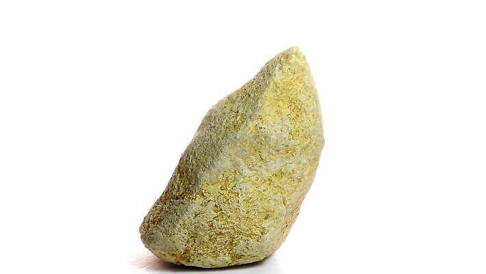 동물 야생동물 탁자 독일 실내 사람없음 역사 산호 속도 회전 과거 화석 옛날 지질학 쥬라기 4K MOV 해외동영상 클립영상 교육 유럽 가구 컨셉 내부 자포동물 동영상 파일형식