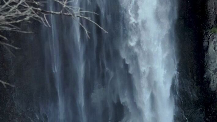 나무 자연 산 사람없음 야외 물 강 골짜기 폭포 흐름 신선 개울 숲 삼림지대 워싱턴 전국 지질학 로키산맥 4K MP4 해외동영상 클립영상 자연요소 식물 교육 컨셉 미국 생태계 동영상 파일형식