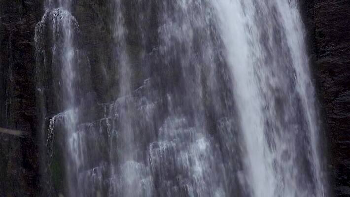 나무 자연 산 사람없음 야외 물 강 골짜기 폭포 흐름 신선 개울 숲 삼림지대 워싱턴 전국 지질학 로키산맥 4K MP4 해외동영상 클립영상 자연요소 식물 교육 컨셉 미국 생태계 동영상 파일형식