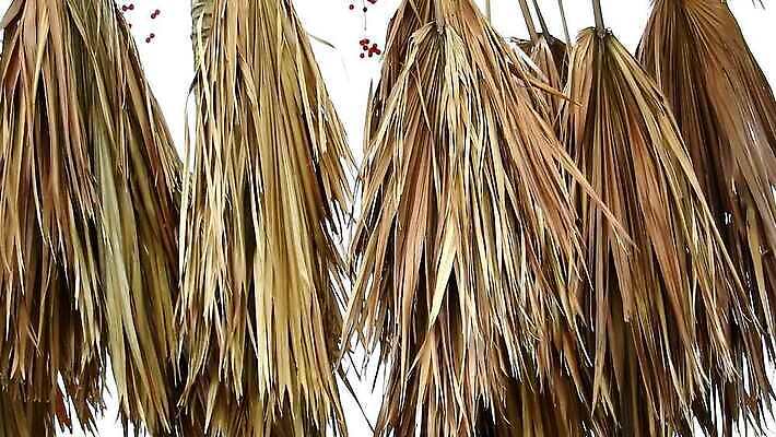 식물 디자인 공원 벽 백그라운드 잎 패턴 건축양식 자연 벽지 하늘 지붕 주택 건조 손바닥 사람없음 야외 목재 장식 뷰티 갈색 노란색 우주 환경 정원 수확 부채 가시 보호 설탕 묘사 그네 질감 밀짚 내추럴 그런지 볏집 원예사 MP4 해외동영상 클립영상 나무 직업 손 공공시설 건축 컬러 컨셉 무늬 농업 재료 건물 짚 생태계 동영상 파일형식