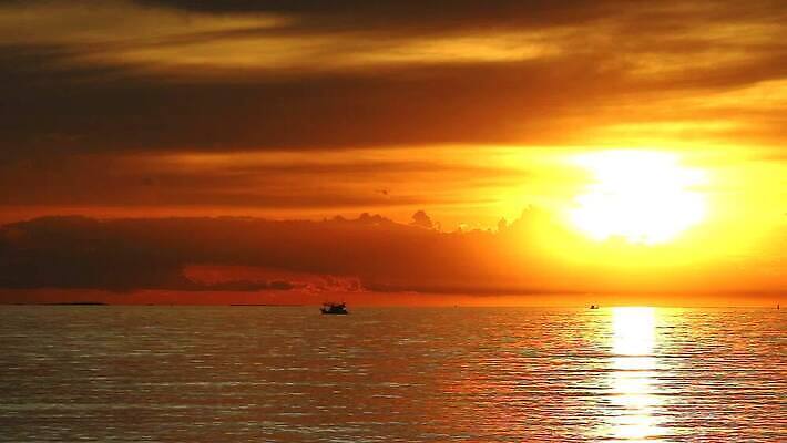 공원 실루엣 바다 여행 백그라운드 오렌지 비즈니스 교통시설 모션 태국 자연 조류 하늘 낚시 항해 해변 사람없음 야외 빨간색 물 파란색 빛 컬러풀 태양 일출 일몰 새벽 화물 시간 보트 야간 저녁 낚시꾼 포트 유조선 수평선 타임랩스 MP4 해외동영상 클립영상 자연요소 동물 공공시설 아시아 컬러 교통 배_교통 과일 레저 촬영기법 노을 운송업 시설 생태계 동영상 파일형식