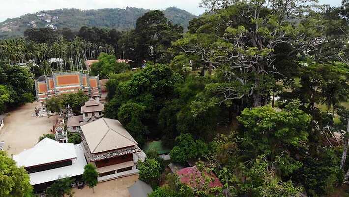 전통 디자인 계절 아시아 종교 문화 여행 백그라운드 불교 건축양식 태국 자연 동양인 사람없음 야외 건물 가로 초록색 성당 탑 사찰 영혼 황금 클래식 정상 숲 언덕 수도원 드론 랜드마크 사리탑 옛날 이국적 4K MP4 해외동영상 클립영상 건축물 건축 나라 컬러 컨셉 종교건축 인종 생태계 동영상 파일형식