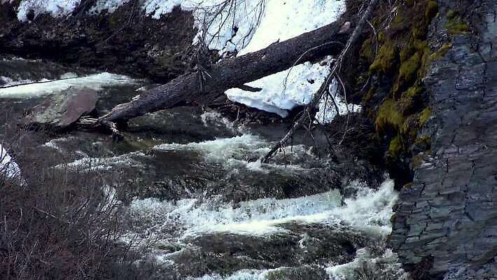나무 자연 산 사람없음 야외 물 강 골짜기 폭포 흐름 신선 개울 숲 삼림지대 워싱턴 전국 지질학 로키산맥 4K MP4 해외동영상 클립영상 자연요소 식물 교육 컨셉 미국 생태계 동영상 파일형식