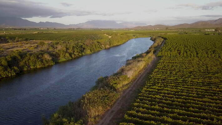 농업 포도 안테나 사람없음 초록색 물 강 흐름 이름 항공촬영 남아프리카 드론 케이프타운 4K MOV 해외동영상 클립영상 자연요소 산업 뷰포인트 컬러 컨셉 과일 통신 아프리카 동영상 남아프리카공화국 파일형식