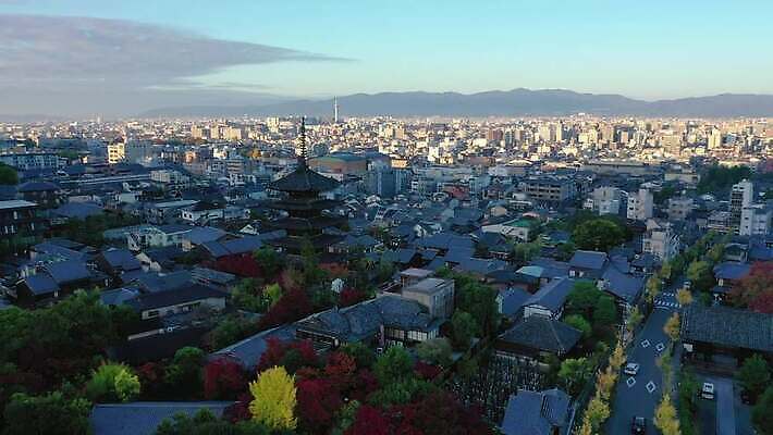 나무 계절 아시아 종교 문화 여행 비즈니스 건축양식 하늘 아침 거리 주택 안테나 사람없음 건물 목재 파란색 도시풍경 교회 일출 탑 일본 봄 새벽 가을 도시 사찰 역사 재산 도심 지역 교토 드론 랜드마크 방법 사당 옛날 조감도 4K MOV 해외동영상 클립영상 주간 자연요소 식물 건축물 건축 나라 컬러 재료 통신 종교건축 풍경 금융 노을 동영상 파일형식