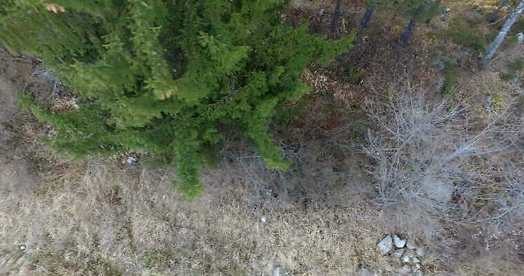 나무 식물 계절 공원 도로 컬러 여행 백그라운드 겨울 자연 하늘 날씨 안테나 파노라마 풍경 사람없음 야외 목재 초록색 환경 냉동 봄 추위 흰색 시골 신선 소나무 정상 숲 땅 질감 서리 장면 침엽수 내추럴 항공촬영 넘어짐 드론 4K MOV 해외동영상 클립영상 공공시설 길 뷰포인트 재료 통신 교통시설 모션 촬영기법 생태계 동영상 파일형식