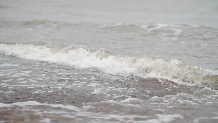 호수 모래 파도 바다 섬 백그라운드 자연 조류 표면 아침 바람 사람없음 야외 물 강 황혼 새벽 안개 바위 서핑 질감 지역 폭풍 허리케인 수평선 HD 인트로 MOV 해외동영상 클립영상 주간 자연요소 동물 날씨 일몰 수상스포츠 자연재해 생태계 동영상 파일형식