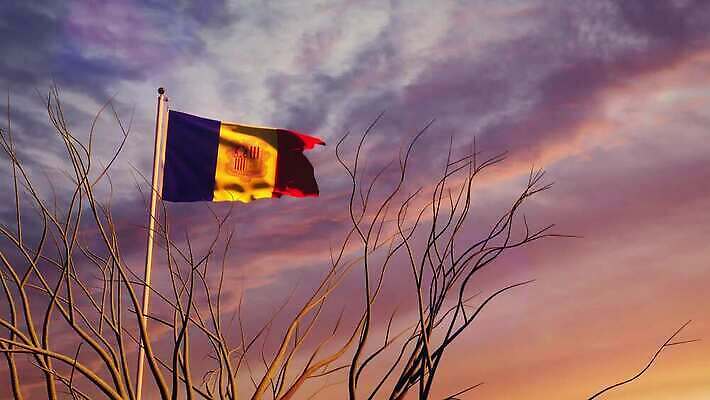 나무 배너 물결 파도 여행 하늘 아침 바람 사람없음 햇빛 태양 일출 일몰 흐름 자유 깃발 불기 민주주의 깃대 봉 애니메이션 재택근무 애국심 명예 독립 안도라 전국 정부 필승 4K MOV 해외동영상 슬로모션 클립영상 주간 자연요소 식물 바다 컨셉 비즈니스 모션 날씨 촬영기법 노을 우승 동영상 파일형식