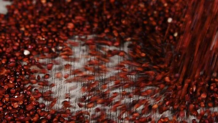 음식 백그라운드 재료 모션 탁자 표면 건조 건강 요리 씨앗 사람없음 목재 빨간색 갈색 주방 가을 붓기 닫기 자르기 시리얼 먹기 롤 쏟아짐 느림 흙더미 내추럴 그런지 퀴노아 튕기기 많음 MOV 해외동영상 클립영상 나무 식물 계절 컬러 가구 컨셉 곡류 흙 동영상 파일형식 더미