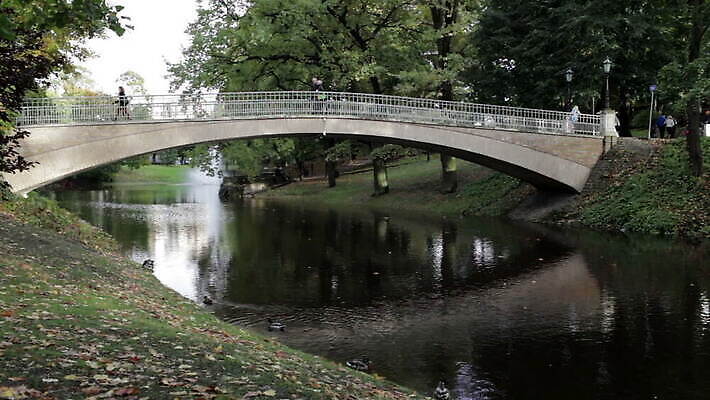 나무 공원 유럽 잎 휴식 오리 사람없음 햇빛 반사 정원 나뭇가지 연못 보행자 숲 라트비아 리가 MOV 해외동영상 클립영상 식물 공공시설 나라 컨셉 조류 북유럽 태양 동영상 파일형식