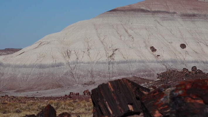 나무 공원 여행 자연 하늘 산 파노라마 국립공원 풍경 사람없음 야외 목재 빨간색 컬러풀 계곡 미국 사막 암석 바위 나뭇가지 숲 크리스탈 부식 화석 애리조나 전국 절정 지질 지질학 불모지 4K MOV 해외동영상 클립영상 식물 공공시설 교육 컬러 북아메리카 재료 촬영기법 돌_바위 광석 생태계 동영상 파일형식