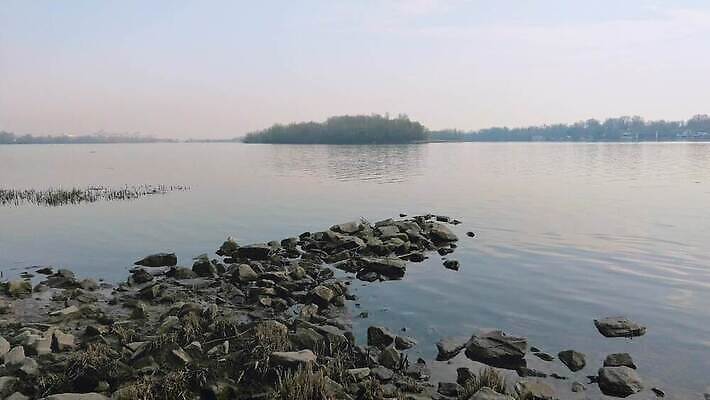 나무 모래 분홍색 섬 여행 자연 조류 하늘 아침 오리 사람없음 야외 건물 물 파란색 빛 강 햇빛 반사 노란색 평화 침묵 봄 안개 도시 버드나무 장면 미루나무 우크라이나 4K MOV 해외동영상 클립영상 주간 자연요소 식물 동물 건축물 계절 유럽 컬러 컨셉 날씨 태양 소리 생태계 동영상 파일형식