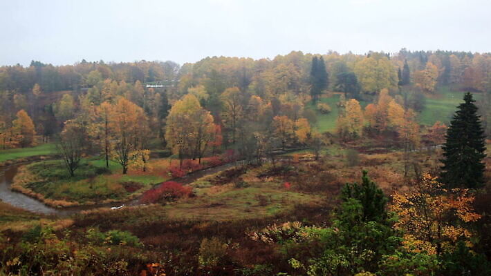 나무 계절 여행 백그라운드 자연 하늘 사람없음 야외 목재 빨간색 초록색 물 강 갈색 노란색 환경 침묵 시골 개울 숲 언덕 내추럴 생태학 에스토니아 조감도 수평선 MOV 해외동영상 클립영상 자연요소 식물 교육 유럽 컬러 재료 소리 생태계 동영상 파일형식