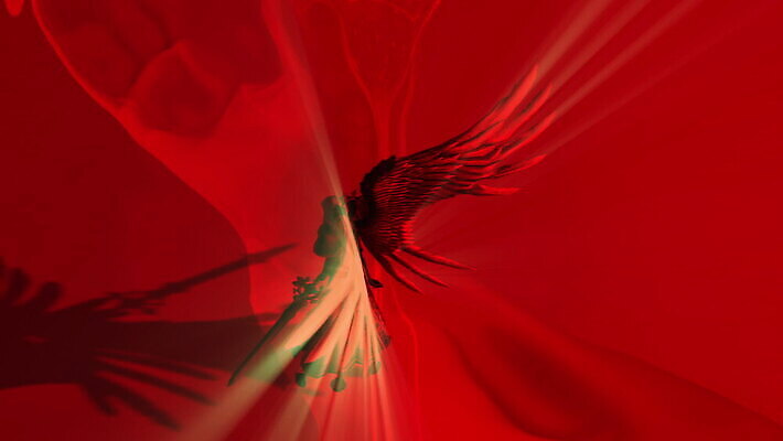 종교 날개 손가락 천사 사람없음 숫자 성경 어둠 희망 놀람 할로윈 덮개 기도 죽음 영혼 칼 유령 소프트포커스 신비 무서움 순수 서식 천국 종료 나쁜 고딕 마지막 신앙심 악몽 지옥 천진난만 파멸 호러 오싹 MOV 해외동영상 클립영상 문자 손 감정 컨셉 종교용품 촬영기법 표정 뚜껑 공포 동영상 파일형식 소멸