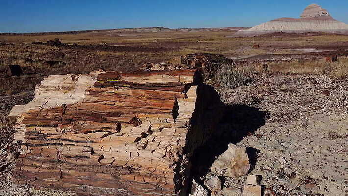 나무 공원 여행 자연 하늘 산 파노라마 국립공원 풍경 사람없음 야외 목재 빨간색 컬러풀 계곡 미국 사막 암석 바위 나뭇가지 숲 크리스탈 부식 화석 애리조나 전국 절정 지질 지질학 불모지 4K MOV 해외동영상 클립영상 식물 공공시설 교육 컬러 북아메리카 재료 촬영기법 돌_바위 광석 생태계 동영상 파일형식