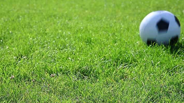 라이프스타일 스포츠 십자가 밭 공 자연 놀이 잔디 사람없음 야외 초록색 하이앵글 검은색 축구 경기장 게임 흰색 칼날 롤 그만 튕기기 카피스페이스 4K MOV 해외동영상 클립영상 식물 뷰포인트 컬러 농업 스포츠시설 모션 생활 구기 공백 생태계 동영상 파일형식