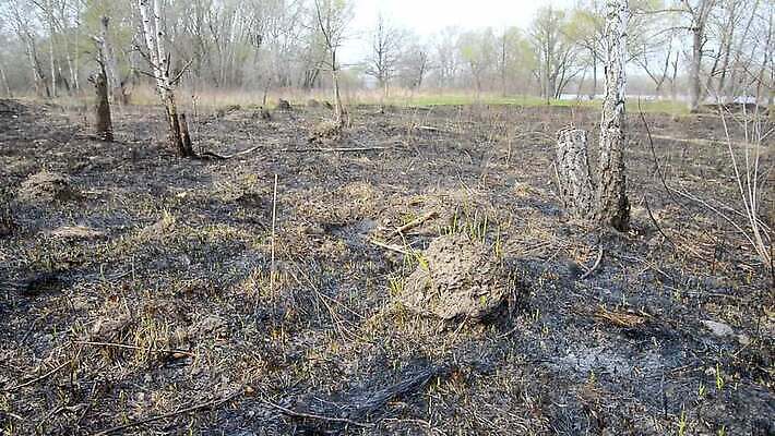 나무 식물 계절 지구 밭 자연 불 건조 풍경 잔디 초원 사람없음 초록색 강 갈색 환경 검은색 흙 봄 손상 뜨거움 황무지 숲 위험 땅 언덕 유기농 질감 먼지 진흙 내추럴 두더지 땅바닥 생태학 우크라이나 재앙 MOV 해외동영상 클립영상 자연요소 웰빙 교육 유럽 컬러 컨셉 농업 바닥 생태계 동영상 파일형식