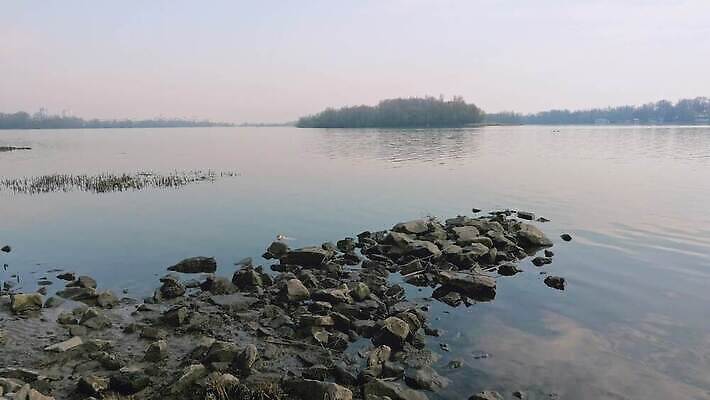 나무 모래 분홍색 섬 여행 자연 조류 하늘 아침 오리 사람없음 야외 건물 물 파란색 빛 강 햇빛 반사 노란색 평화 침묵 봄 안개 도시 버드나무 장면 미루나무 우크라이나 4K MOV 해외동영상 클립영상 주간 자연요소 식물 동물 건축물 계절 유럽 컬러 컨셉 날씨 태양 소리 생태계 동영상 파일형식