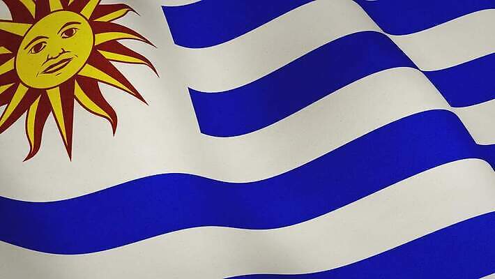 배너 물결 파도 백그라운드 바람 사람없음 흐름 자유 축하 깃발 고리 투표 민주주의 심볼 질감 웨이브 군용 애니메이션 동영상 애국심 우루과이 전국 정부 정치 4K MOV 해외동영상 슬로모션 클립영상 자연요소 바다 컨셉 날씨 군대 촬영기법 남아메리카 선거 파일형식