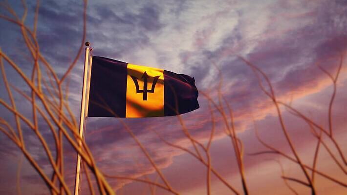 나무 배너 물결 파도 섬 여행 하늘 아침 바람 사람없음 햇빛 태양 일출 일몰 흐름 자유 깃발 불기 민주주의 깃대 봉 애니메이션 재택근무 애국심 명예 독립 서인도제도 전국 정부 필승 4K MOV 해외동영상 슬로모션 클립영상 주간 자연요소 식물 바다 컨셉 비즈니스 모션 날씨 촬영기법 노을 우승 동영상 파일형식