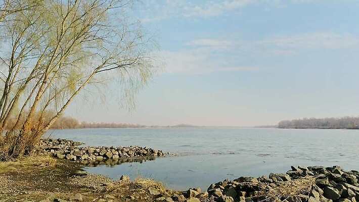 나무 호수 모래 분홍색 섬 여행 자연 하늘 아침 오리 사람없음 야외 건물 물 파란색 빛 강 햇빛 반사 노란색 평화 침묵 봄 안개 도시 버드나무 장면 미루나무 우크라이나 4K MOV 해외동영상 클립영상 주간 자연요소 식물 건축물 계절 유럽 컬러 컨셉 조류 날씨 태양 소리 생태계 동영상 파일형식