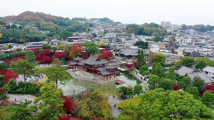 나무 공원 아시아 종교 문화 호수 여행 단풍 불교 건축양식 안테나 사람없음 건물 물 강 컬러풀 세계 여행객 탑 정원 일본 가을 도시 사찰 역사 재산 교토 드론 랜드마크 조감도 4K MOV 해외동영상 클립영상 자연요소 식물 건축물 계절 공공시설 건축 나라 컬러 잎 통신 종교건축 사람 금융 동영상 파일형식