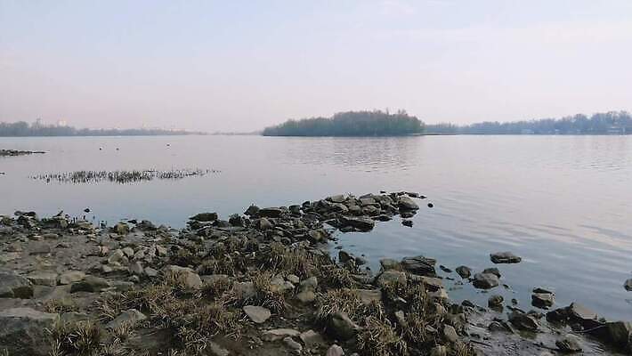 나무 모래 분홍색 섬 여행 자연 조류 하늘 아침 오리 사람없음 야외 건물 물 파란색 빛 강 햇빛 반사 노란색 평화 침묵 봄 안개 도시 버드나무 장면 미루나무 우크라이나 4K MOV 해외동영상 클립영상 주간 자연요소 식물 동물 건축물 계절 유럽 컬러 컨셉 날씨 태양 소리 생태계 동영상 파일형식