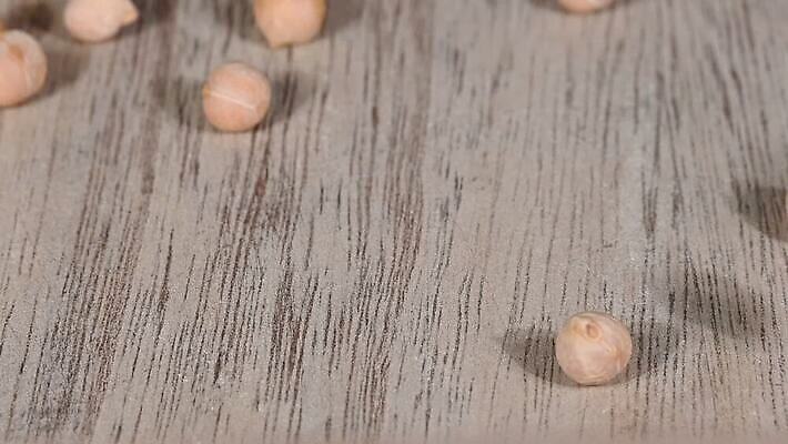 음식 백그라운드 재료 모션 탁자 표면 콩 건조 건강 요리 사람없음 목재 주방 가을 붓기 닫기 자르기 시리얼 먹기 롤 쏟아짐 느림 흙더미 내추럴 그런지 병아리콩 튕기기 많음 MOV 해외동영상 클립영상 나무 계절 가구 컨셉 곡류 흙 동영상 파일형식 더미